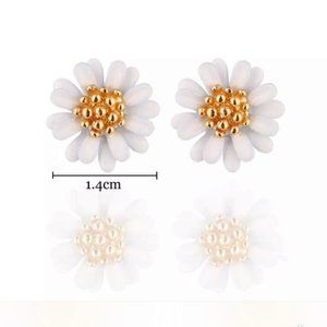 Korean Style Earrings